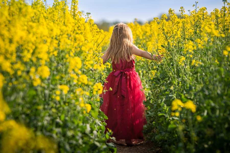 Una joven con un largo vestido rojo camina por un sendero en un campo de altas flores amarillas, como si buscara claridad y cambio, lo que recuerda el viaje que supone una modificación convenio regulador en un día soleado.