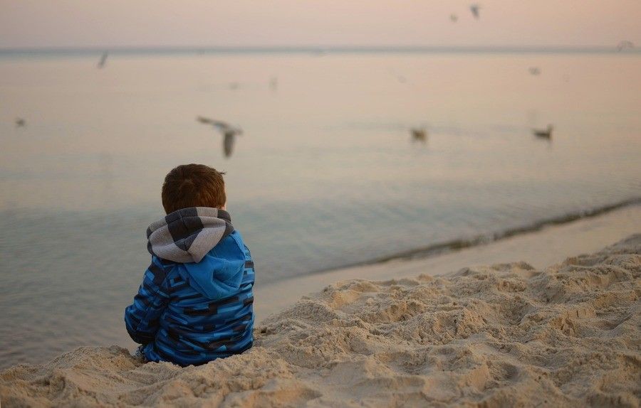 Un niño con chaqueta azul está sentado solo en una playa de arena frente a aguas tranquilas, con gaviotas volando y de pie cerca de la orilla bajo un cielo suave y pastel, evocando la tranquila soledad que a menudo se siente durante un proceso de divorcio contencioso.