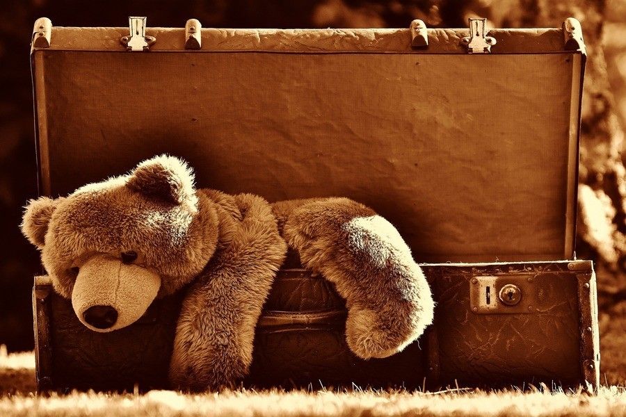 Un gran oso de peluche descansa sobre el lateral de una maleta vintage abierta sobre la hierba, evocando una sensación de abandono. El tono sepia confiere a la escena un toque anticuado y nostálgico de hogar familiar abandonado.